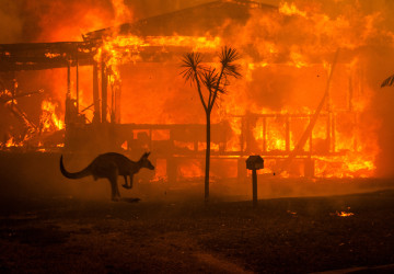 The Australian bushfires and ways to unite in times of the  nationwide natural disaster